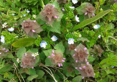 compagni di viaggio 2