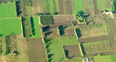 diffidenza_agricoltura