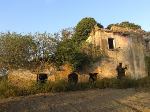 irruentinovit26ottobre