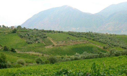 8633350011_2d3239242a_b