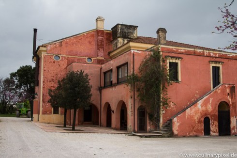 tenuta_vannulo
