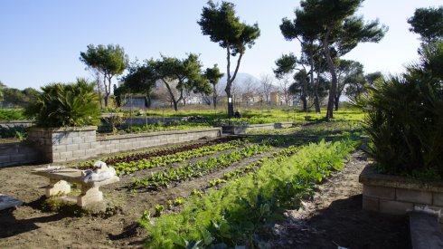 _dsc9792-fileminimizer